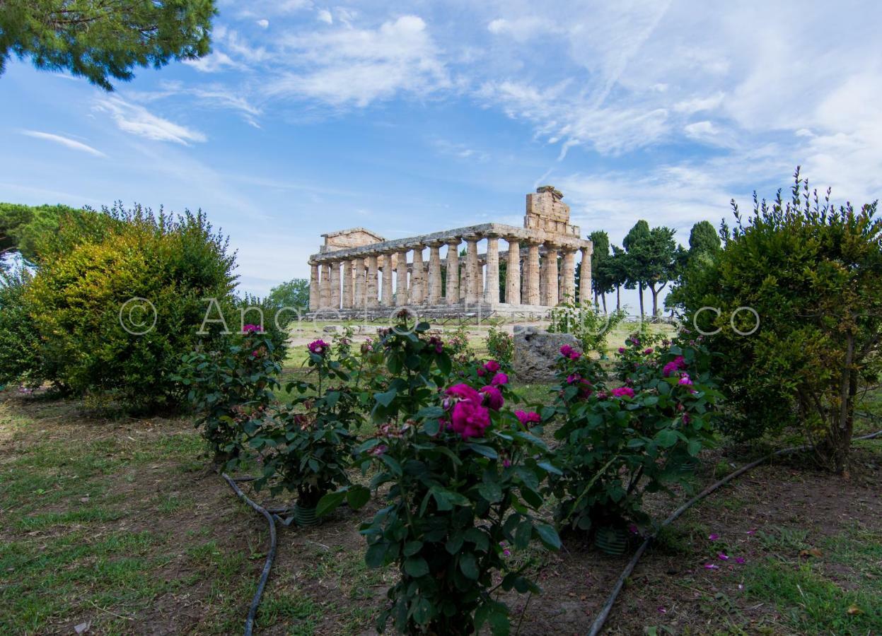 Casa Marino Apartment Capaccio ภายนอก รูปภาพ